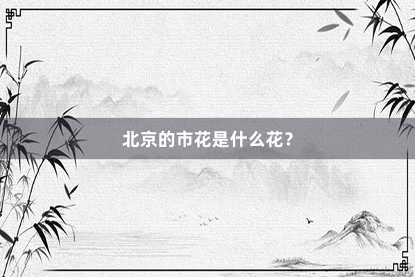 北京的市花是什么花？