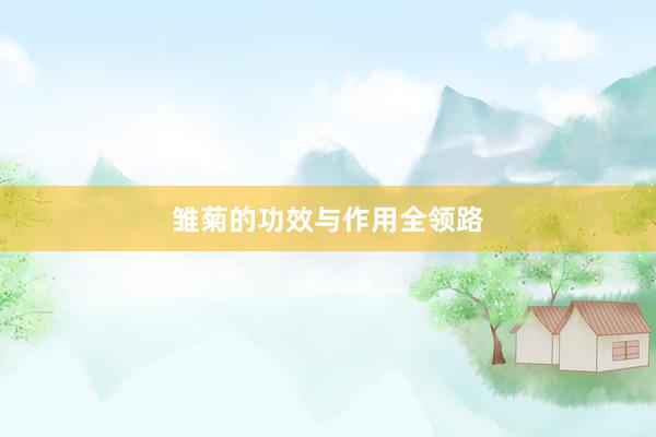 雏菊的功效与作用全领路