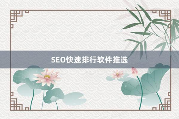 SEO快速排行软件推选