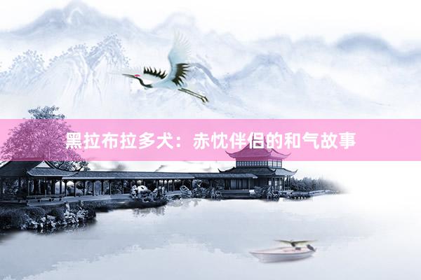 黑拉布拉多犬：赤忱伴侣的和气故事